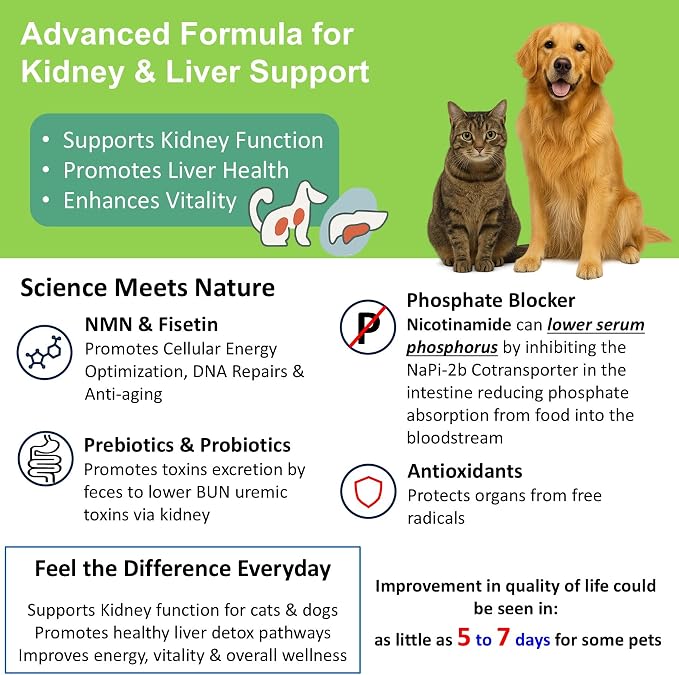 Cat Kidney Support Restore 4 Cats Dogs: 12-in-1 Benefits Super Phosphate Binder w/NMN, Fisetin, Antioxidants, Pre & Probiotic for Healthy Kidney, Liver Functions Anti-Aging & Longevity NAD+ (60 Caps)