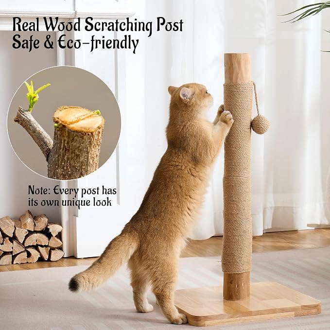 29" Tall Solid Wood Cat Scratching Post for Indoor Cats, Extra Stable Heavy Base, Natural Sisal Scratcher with Hanging Ball, Furniture Protector for Kittens & Adult Cats, Beige