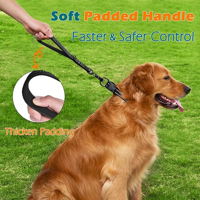 PetBonus Heavy Duty 12 Inch Short Dog Leash and 2-Pack Large Silicone Collapsible Dog Bowls