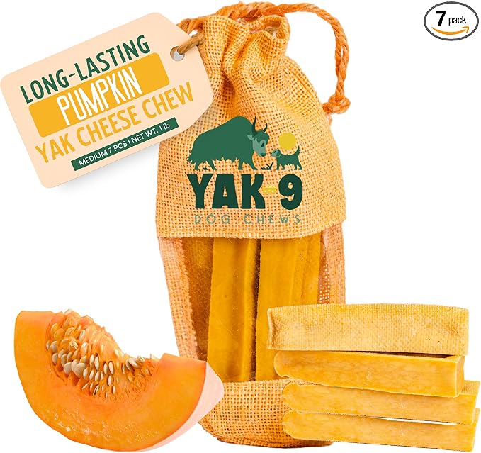 Yak9 Yak Cheese Himalayan Dog Chews, Pumpkin | High Protein, High Fiber Pumpkin Treats for Dogs | Long Lasting, Non GMO, Gluten Free, Grain Free | Medium Size, 7 PC