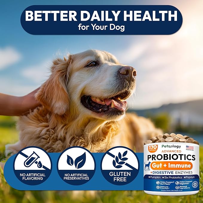 Probiotics for Dogs - 170 Dog Probiotics Chews - Digestive Enzymes & Prebiotics - Support Gut Health, Diarrhea, Gas & Constipation Relief - Itchy Skin, Allergies, Yeast Balance - Advanced Supplement