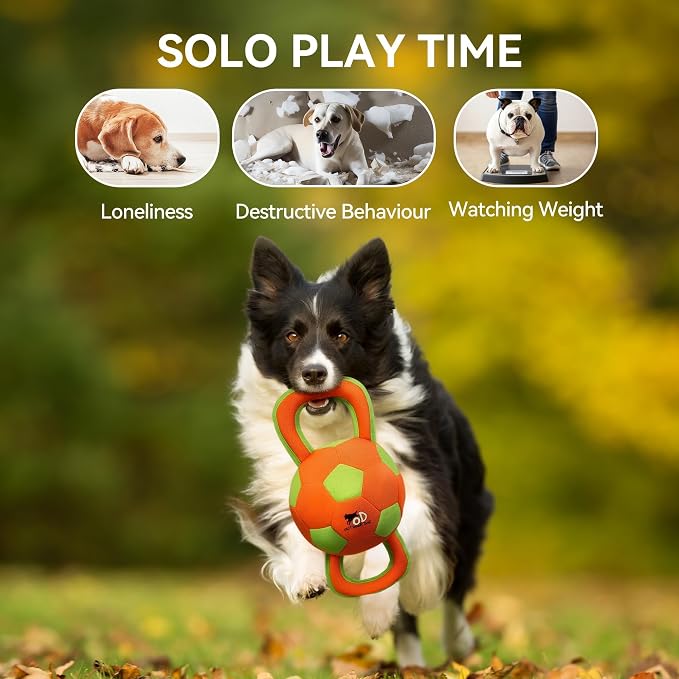 ALL FOR PAWS Ballistic Handle Ball Dog Toy with Squeaker, Interactive Handle Tug of War Ball Toy for Small Medium Large Dogs (Receive one of the Three Colors)