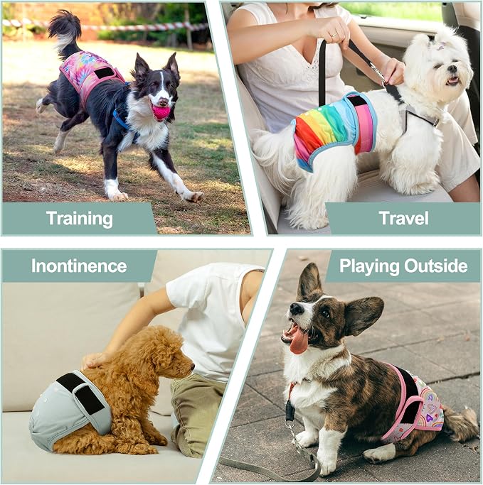 Female Dog Diapers 5Pcs - Premium Reusable Diapers for Doggie in Heat - Highly Absorbent Dog Diapers Female for Pet Incontinence with Adjustable Snaps,Rainbow, M
