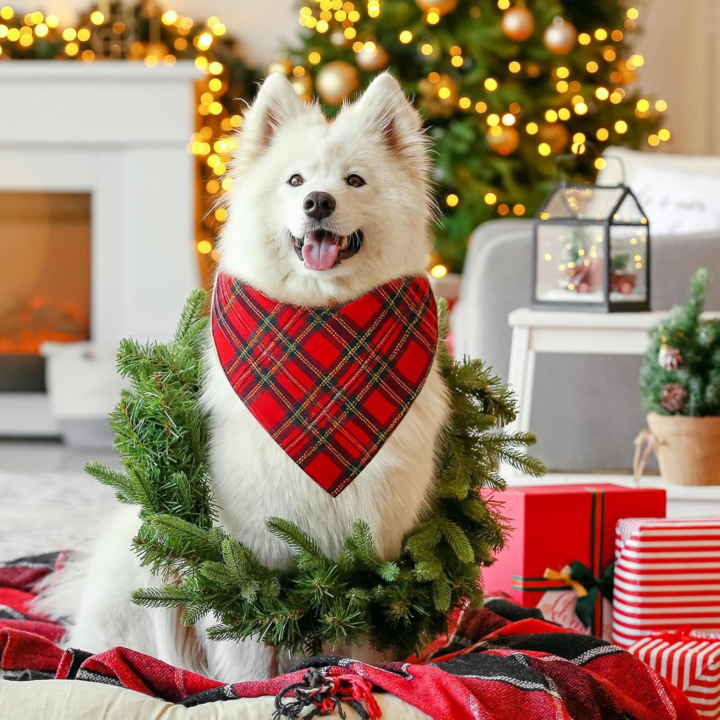 Abbylike 50 Pieces Christmas Plaid Dog Bandanas Bulk Xmas Bandanas for Dogs Triangle Kerchief Bibs Scarf Set for Christmas Pet Costume Accessories Decoration (31.5 x 21.7 x 21.7)