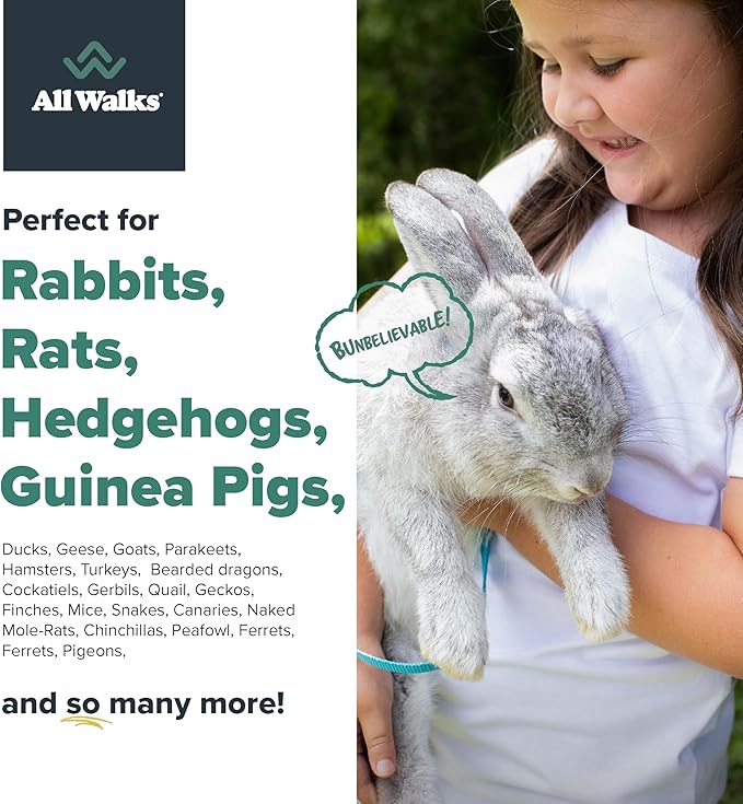 All Walks | Hemp Bedding for Small Animals 18.5L (3.7 LBS) | Low Dust, Odor Control, Highly Absorbent, Natural Cage Bedding for Rabbits, Hamsters, Guinea Pigs, Birds, and More