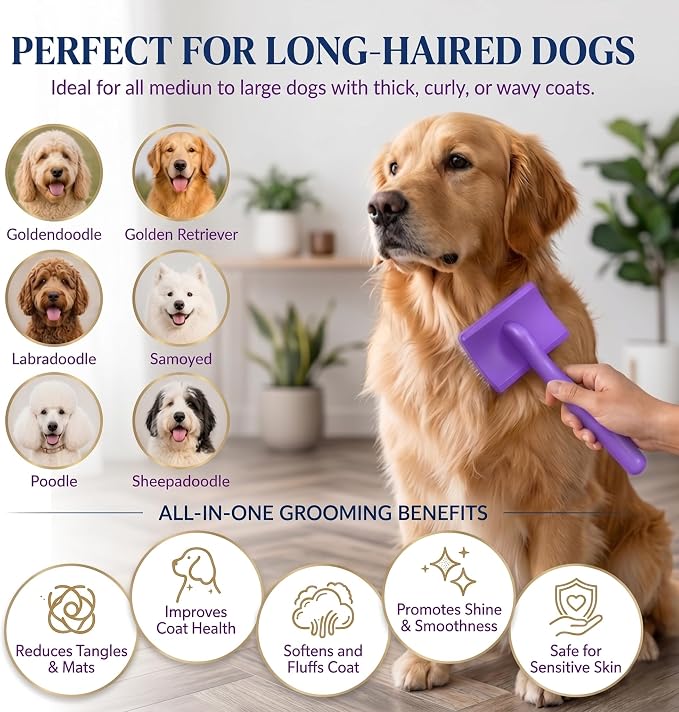 Large Slicker Brush for Dogs - 3-Piece Solid Wood Dog Grooming Kit for Doodles and Poodles - for Wavy, Curly & Matted Hair, Purple