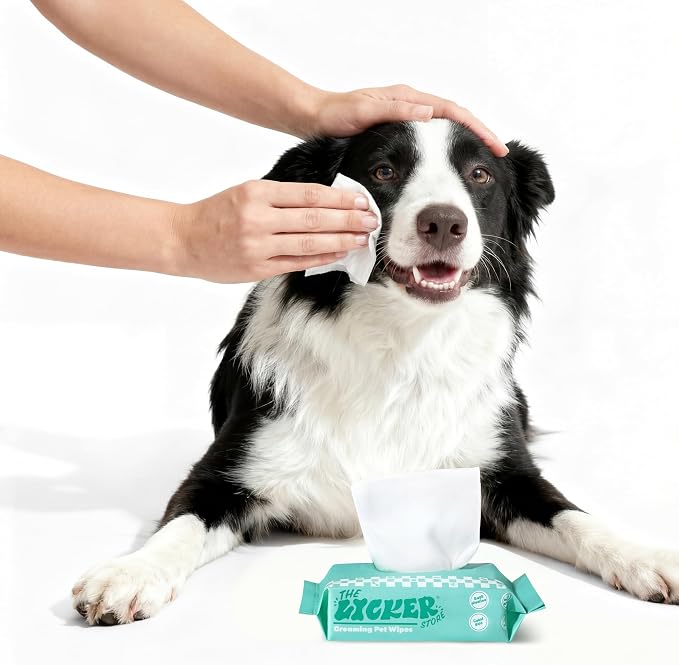PWP1008A Mini Dog Body Wipes, Hypoallergenic Pet Grooming Wipes with Aloe Vera, Chamomile & Shea Butter, for Paws, Face & Body, Cleaning & Hydrating, 48 Count (6 Packs)