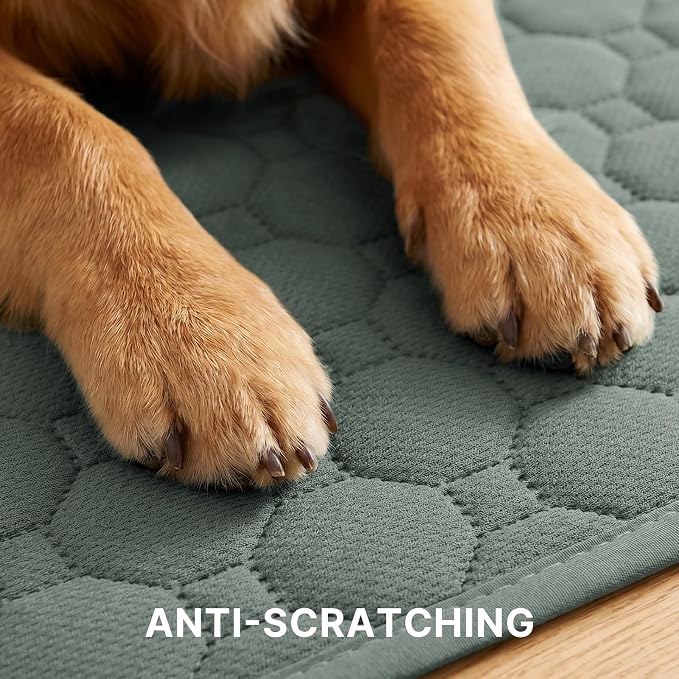H.VERSAILTEX Premium Washable Pee Pads for Dogs 1 Pack Super Absorbent 100% Waterproof Reusable Non-Slip Quilted Puppy Training Pads for Crate Playpen Whelping & Potty Training(72"x72", Sage)
