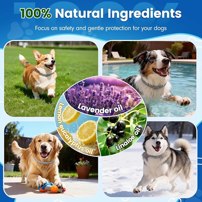 KOOSA Flea and Tick Collar for Dogs, 3 Packs Flea Collar for Dogs with Natural Essential Oils, Waterproof & Adjustable Flea and Tick Prevention Collar for Small Medium Large Dogs & Puppies, Grey 07