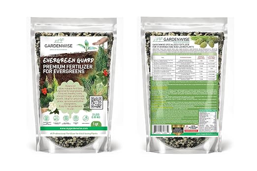 GARDENWISE Evergreen Fertilizer – All-Purpose Granular Plant Food for Outdoor Trees and Shrubs, Azaleas, Magnolias, Pines & Arborvitae – Slow-Release Formula (1 Quart)