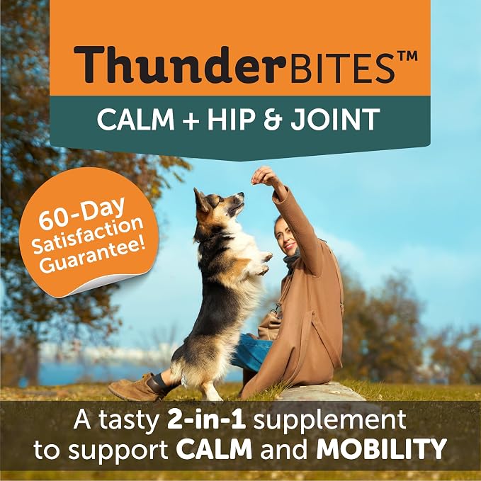 ThunderBites Calm + Hip & Joint Daily Supplement for Dogs, Soft Chews, Supports Joint Health Plus Calming from Daily stressors, Includes Glucosamine, Omega 3s, MSM, Melatonin, Ashwaganda, 90 Count