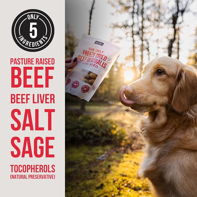 Natural Rapport Freeze Dried Beef Meatballs Dog Treats - Pasture Raised Beef & Liver, High Protein Training Treats (4 oz) (40+ Treats)