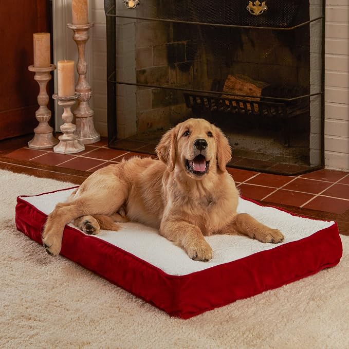 Happy Hounds Oscar Rectangle Orthopedic Foam Sherpa Dog Bed, Small (36 x 24 in.), Red