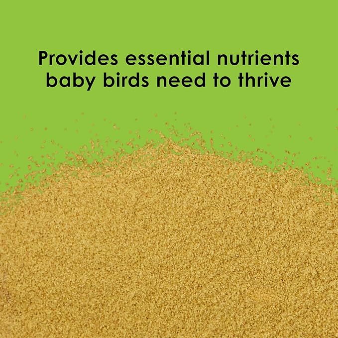 Kaytee Exact Hand Feeding Pet Bird Baby Food For Parrots, Parakeets, Lovebirds, Cockatiels, Conures, Cockatoos, and Macaws, 5 Pound