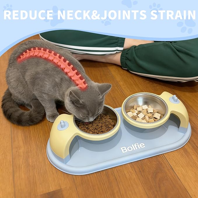 Elevated Stainless Steel Pet Bowls for Cats, 2-in-1 Food and Water Feeder with Non-Slip Base, with Spill-Proof Mat for Small Pets