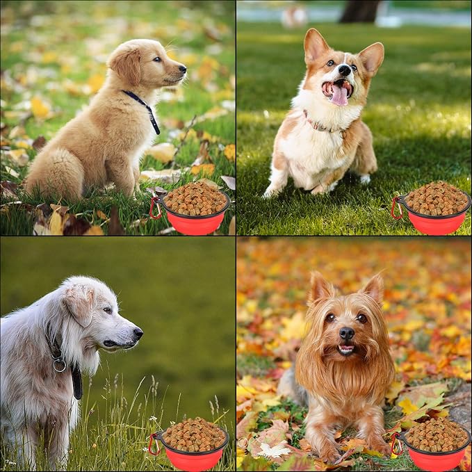 Pack of 6 Large Size Collapsible Dog Bowl, Food Grade Silicone BPA Free, with Carabiner Clip Foldable Expandable Cup Dish for Pet Cat Food Water Feeding Portable Travel Bowl (Blue & Red)