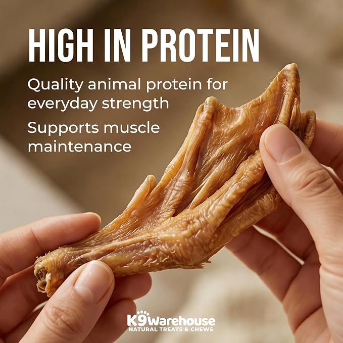 K9warehouse Duck Feet for Dogs – High Protein Dehydrated Dog Treats, Natural Crunchy Chews with Collagen, Glucosamine & Chondroitin for Joint & Hip Health, Dental Care, Small to Large Breeds (10 pcs)