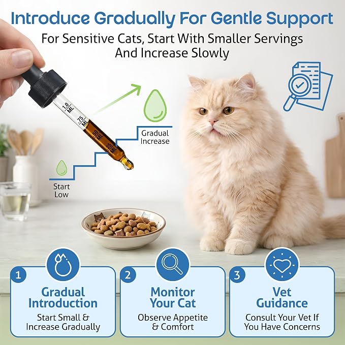Pet Wellbeing Kidney Support Gold for Cats - Supports Normal Kidney Function & Detox, Healthy Hydration & Energy with Rehmannia & Dong Quai - NASC Certified & Vet-Formulated - 4 oz Liquid Formula