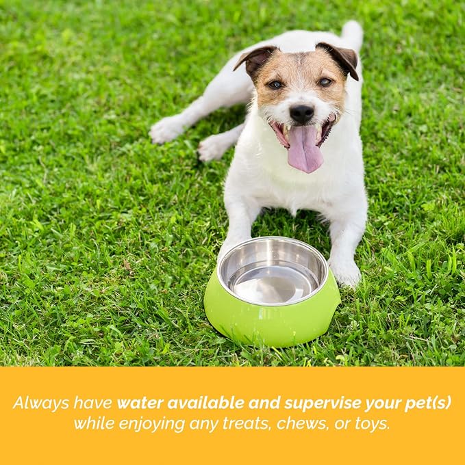 123 Treats Beef Tendon Chews for Dogs – 7-9 inches Beef Strap Chew Sticks, High in Protein, 100% Natural, Grain & Gluten-Free Dog Treats, Great for Dental Health (8 Oz Bag)