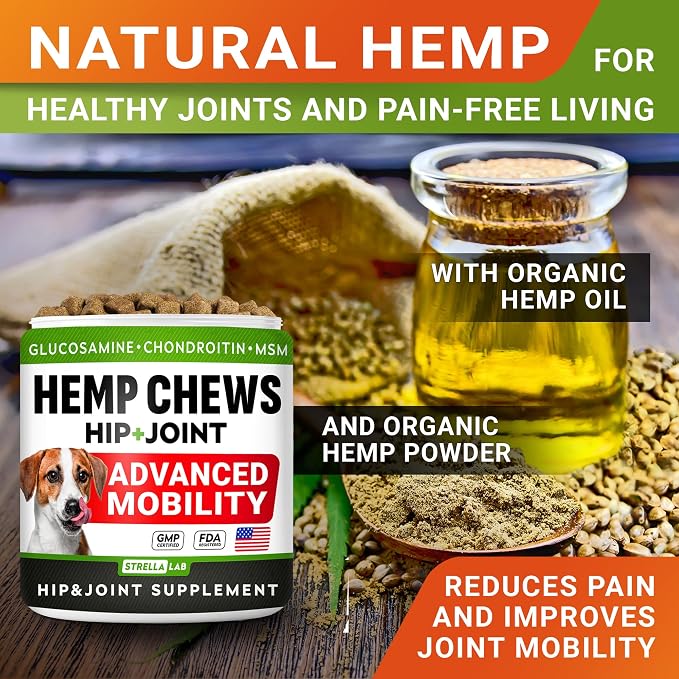 Large Breed Hemp + Glucosamine Dog Joint Supplement - Hemp Chews for Dogs Hip Joint Pain Relief - Omega 3, Chondroitin, MSM - Advanced Mobility Hemp Oil Treats for Large Dogs - Made in USA - 240 Ct