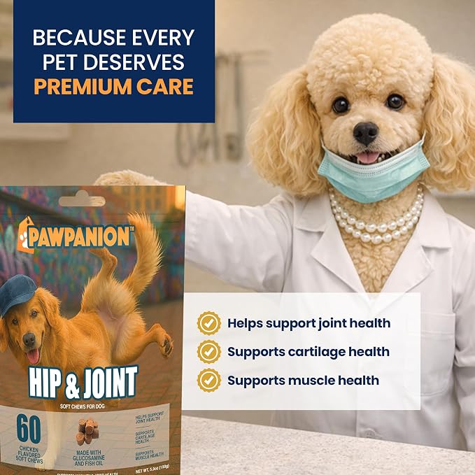 Hip & Joint Soft Chews for Dogs Joint Support & Mobility 60 Count
