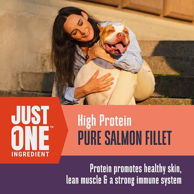 Whole Life Dog Just One Salmon Freeze Dried Dog Treats - Human Grade High Protein Food, Healthy Training Snacks, Freeze Dried Salmon Food Toppers, USA Made Natural Treats - 8 oz (Value Pack of 1)