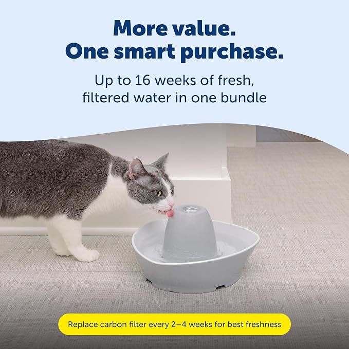 PetSafe Ceramic Pet Fountain with 4-Pack of Carbon Filters for Cats and Small Dogs 60 Oz Water Capacity Whisper-Quiet Water Flow Great for Shy or Timid Pets Fresh, Filtered Water