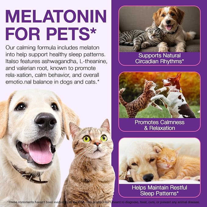 Liquid Melatonin for Dogs & Cats, 60ml Dog Melatonin Calming Drops with L-Theanine, Cat Calming Dog Sleep Aid Support Anxiety Relief for Travel, Separation, Barking, Fireworks (60ml (Pack of 2)