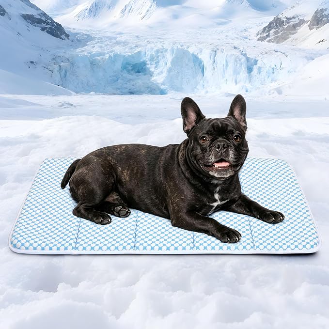Dog Cooling Mat for Large Dogs – 30"x20" Orthopedic Memory Foam Pad for Summer, Hot Weather & Joint Relief | Washable, Non-Slip Crate Mat for Senior Dogs, Travel & Home (Blue)