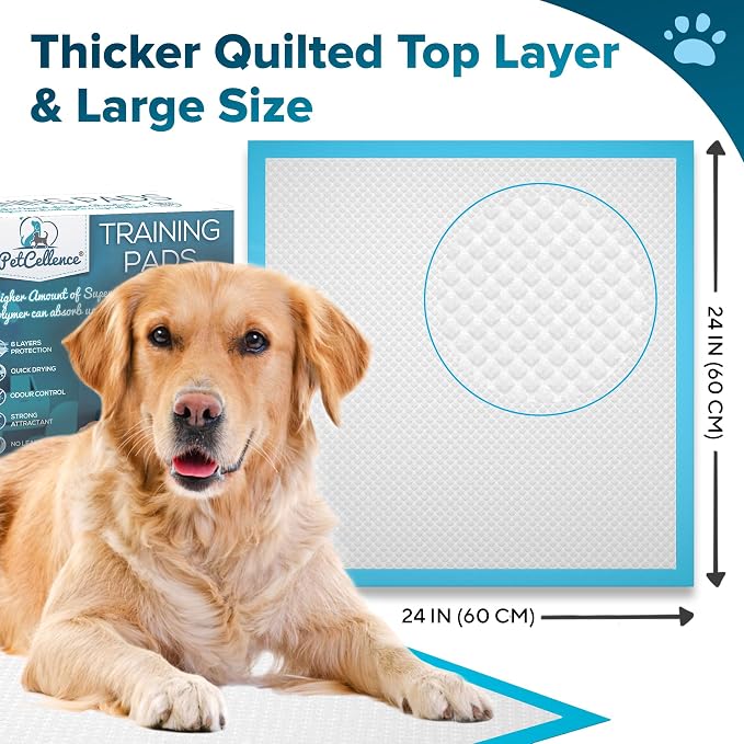 Large Puppy Pads 100 Count - 24" x 24" Pee Pads for Dogs with Adhesive Sticky Tapes, Ultra Absorbent Dog Pads, Perfect for Incontinent Dogs and Potty Toilet Training
