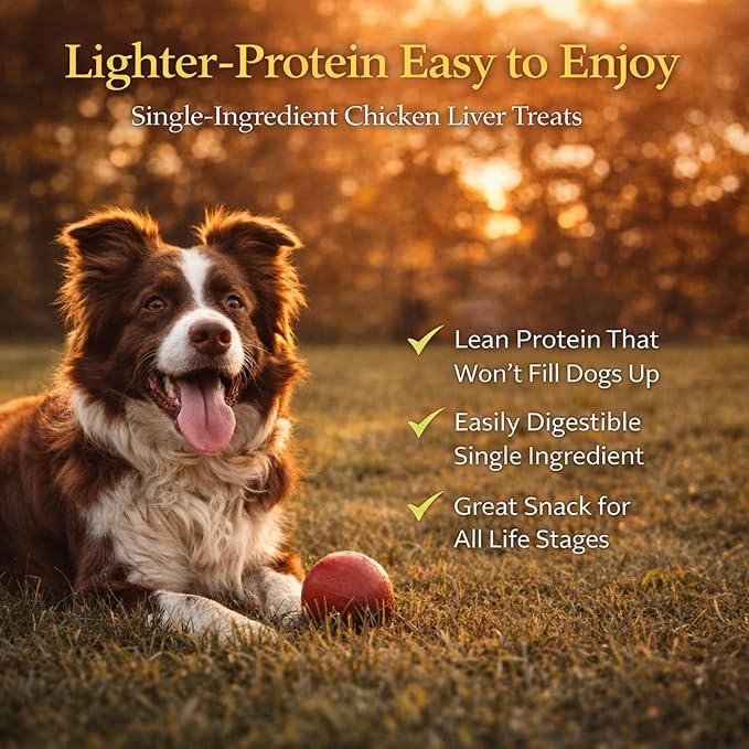 Freeze-Dried Dog Treats – Single Ingredient, High Protein, All-Natural (Chicken)