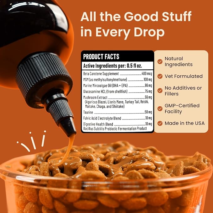 Everyday Dog Gravy - Wet Dog Food Topper for Dry Food with Glucosamine, MSM, Beef Bone Broth, Omega 3, Probiotics and Taurine - Skin, Coat, Heart, Hip and Joint Support, 16 oz (Beef)
