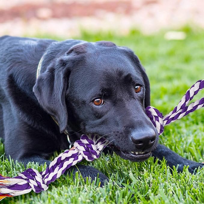 SHARLOVY XL Dog Chew Toys for Aggressive Chewers, Tough Dog Toys for Aggressive Chewers Large Breed, 5 Knots Indestructible Dog Toys,Dog Balls for Large Dogs Set of 15