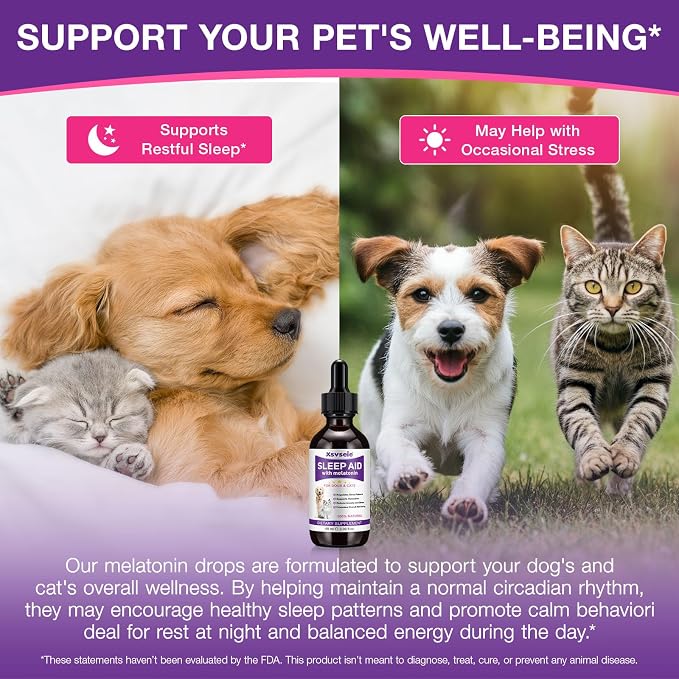 Liquid Melatonin for Dogs & Cats, 60ml Dog Melatonin Calming Drops with L-Theanine, Cat Calming Dog Sleep Aid Support Anxiety Relief for Travel, Separation, Barking, Fireworks (60ml (Pack of 2)