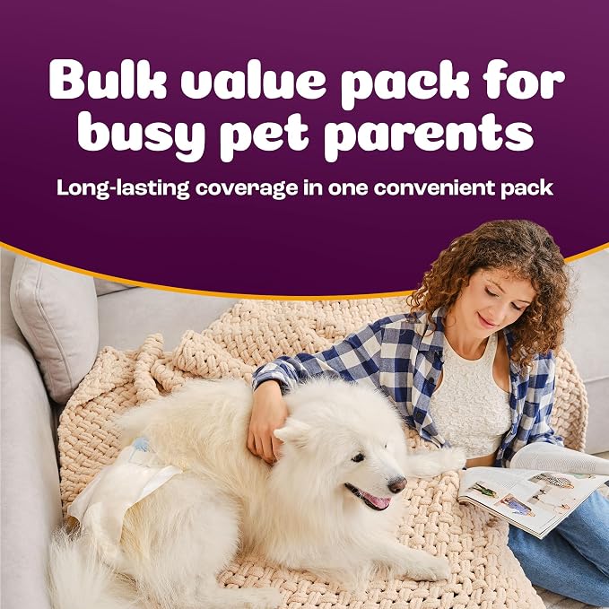 Inspire Pet Care Dog Diapers Female Dogs | Bulk Value Doggie Incontinence, Accidents, for Heat, Pee or Period and Housebreaking (Large (60 Count))