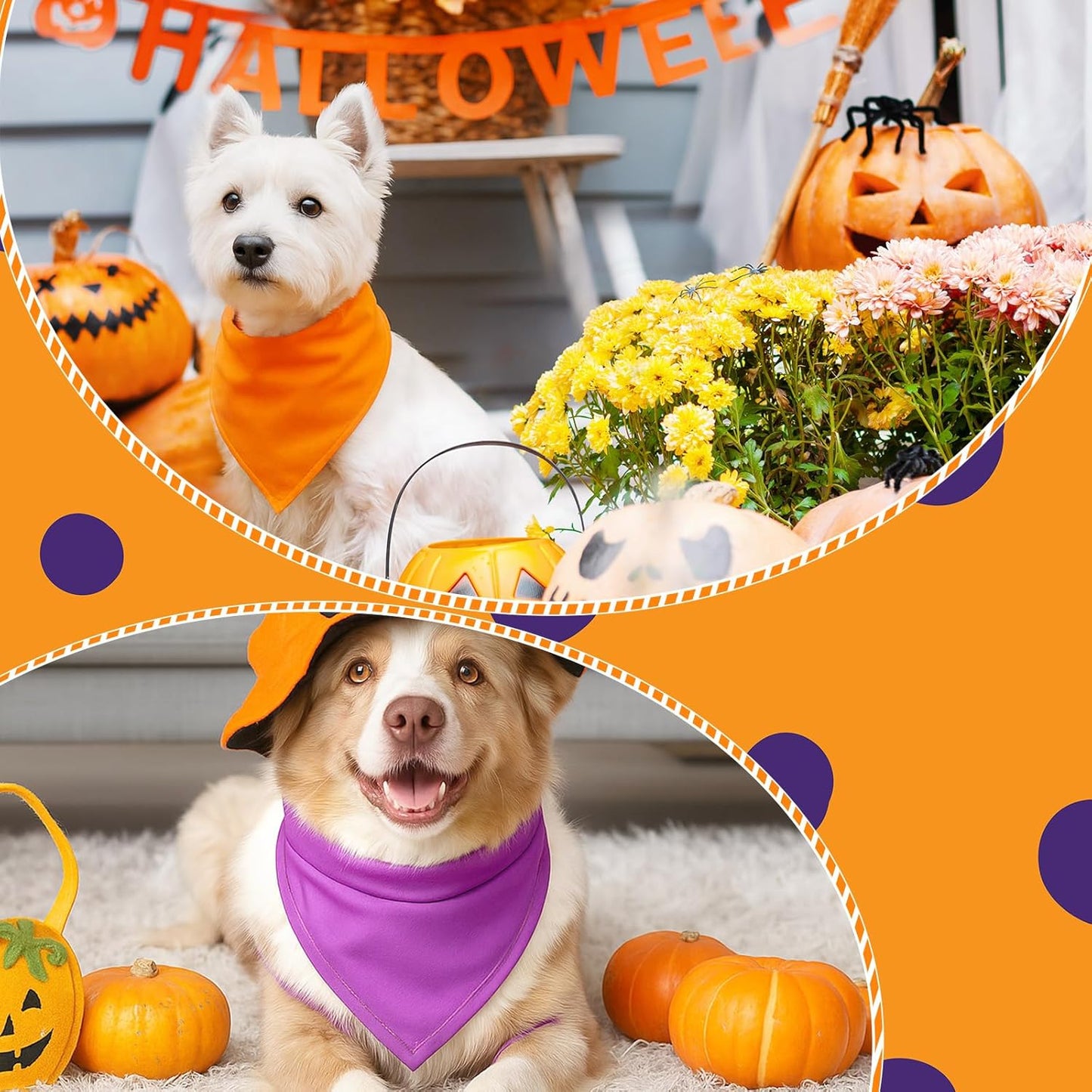 48 Pcs Halloween Blank Dog Bandanas Bulk Sublimation Plain Bandanas for Dogs Heat Transfer Personalized DIY Triangle Bibs Scarf Set for Pets Halloween Costume Photo Props Accessories Pet Shops