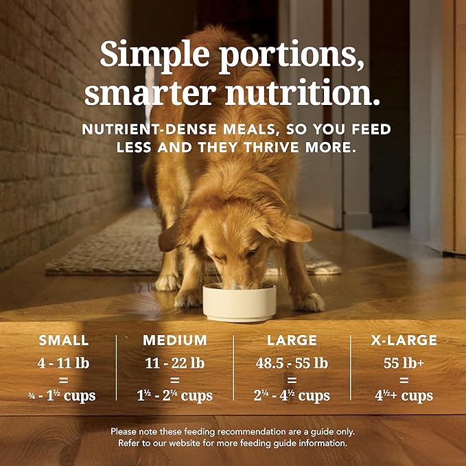 K9 Natural Lamb & King Salmon Freeze Dried Dog Food, High-Meat Natural Complete Meal or Meal Toppers for Dogs, Grass-Fed Lamb & King Salmon from New Zealand, Grain-Free, GMO-Free, 4lb