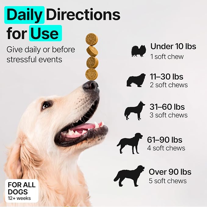 Hip and Joint Supplement for Dogs – Glucosamine for Dogs, Dog Joint Supplement, Mobility, Flexibility & Comfort, Chews with Glucosamine Chondroitin Msm & Omega3, 2 Pack,340 Chews,Made in USA
