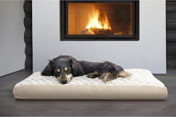 Furhaven Pillow Dog Bed for Medium/Small Dogs w/ Removable Washable Cover - Ultra Plush Faux Fur & Suede Mattress - Cream, Medium