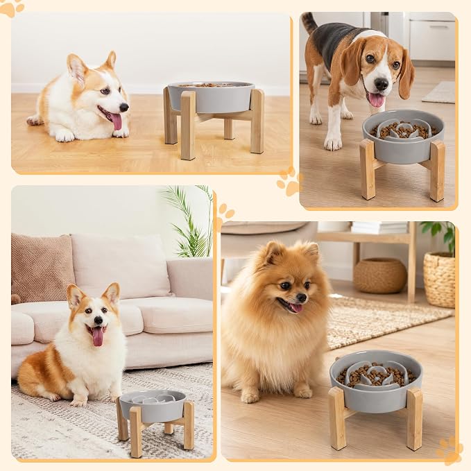 Elevated Slow Feeder Dog Bowl - Ceramic Maze Food Dish with Bamboo Stand - Raised Feeding Bowl for Fast Eaters Small and Medium Dogs - Grey