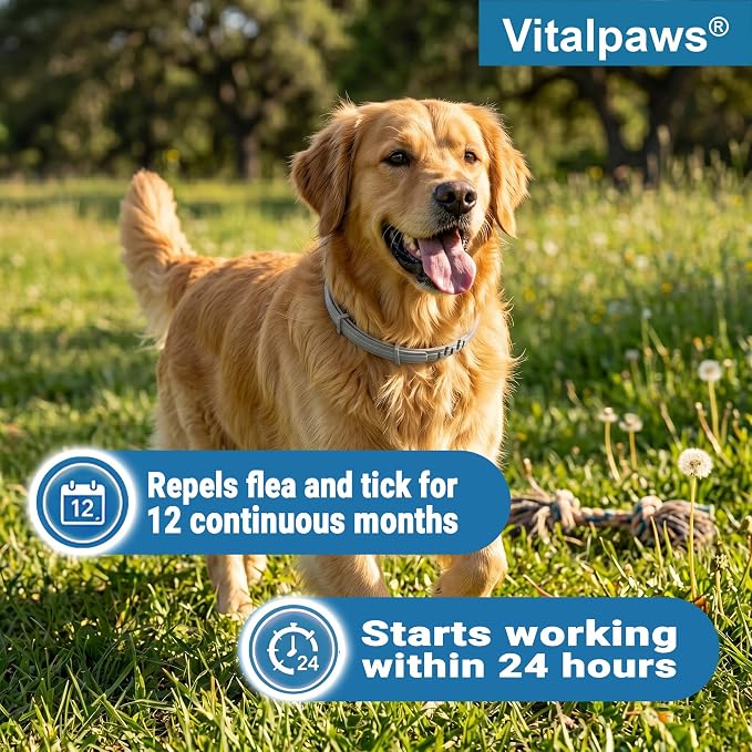 Flea and Tick Collar for Dogs 2 Pack - 12 Month Natural Flea and Tick Prevention for Dogs, Waterproof Dog Flea & Tick Control with Continuous Release, Adjustable Large Dog Collar
