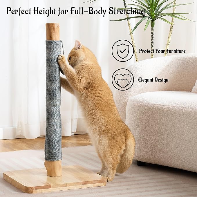 29" Tall Solid Wood Cat Scratching Post for Indoor Cats, Extra Stable Heavy Base, Natural Sisal Scratcher with Hanging Ball, Furniture Protector for Kittens & Adult Cats, Grey