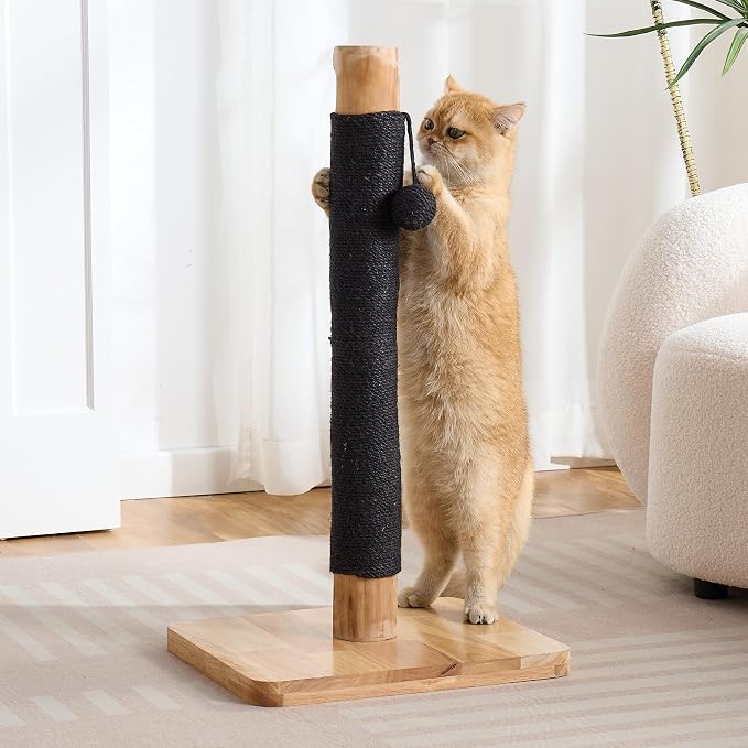 29" Tall Solid Wood Cat Scratching Post for Indoor Cats, Extra Stable Heavy Base, Natural Sisal Scratcher with Hanging Ball, Furniture Protector for Kittens & Adult Cats, Beige