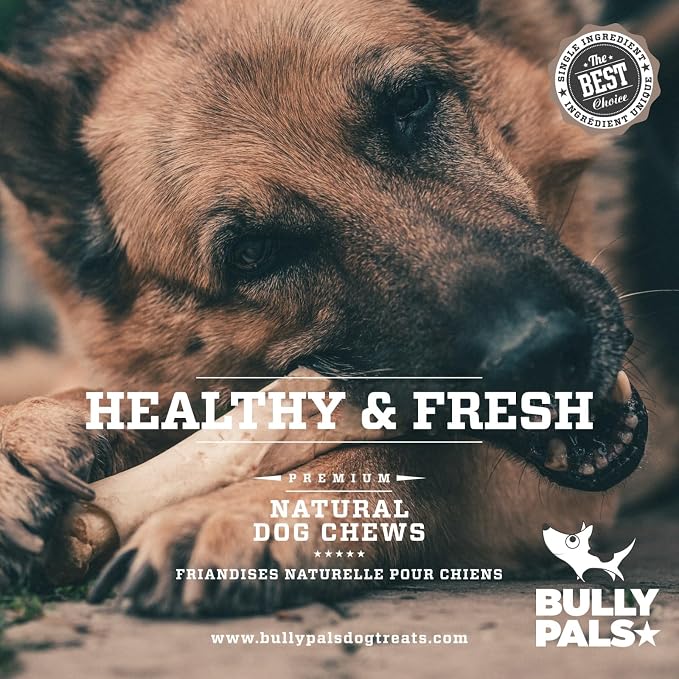 12 inch Jumbo Bully Sticks for Large Dogs (5 Pack) - Extra Thick Beef Pizzle Sticks, Long Lasting Dog Bones, Easily Digestible Dental Chews, Naturally Low Odor, Rawhide Free Dog Treats