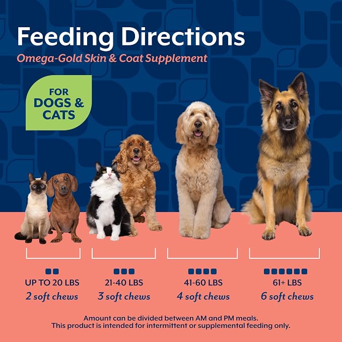 NaturVet – Omega-Gold Plus Salmon Oil | Supports Healthy Skin & Glossy Coat | Enhanced with DHA, EPA, Omega-3 & Omega-6 | for Dogs & Cats | 180 Soft Chews