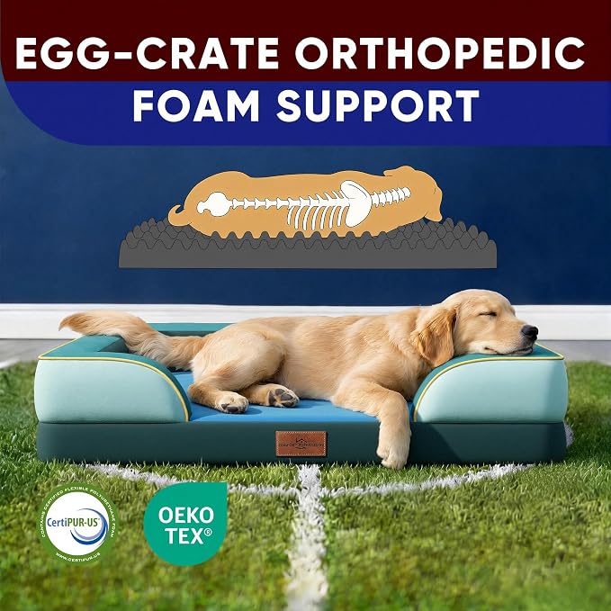 Comfort Expression Orthopedic Dog Bed for Large Dogs 36x27 Inch, Waterproof Egg Crate Foam Large Pet Bed with Bolsters, Dog Couch with Washable Cover & Non-Slip Bottom, Seattle