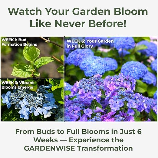 GARDENWISE Slow Release Hydrangea Fertilizer with Iron & Sulfur – Indoor & Outdoor Soil Acidifier for Miracle Growth (5 qt)