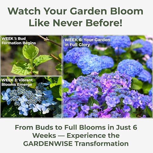 GARDENWISE Slow Release Hydrangea Fertilizer with Iron & Sulfur – Indoor & Outdoor Soil Acidifier for Miracle Growth (12 oz)