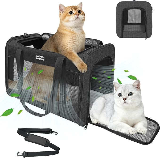 Soft-Sided Large Cat Carrier for 2 Cats, Spacious Foldable Pet Travel Carrier for Large Cats up to 25 Lbs, Double Cat Bag with Shoulder Strap, 20x13x13 Inch, Fits Maine Coon and Small Dogs, Black