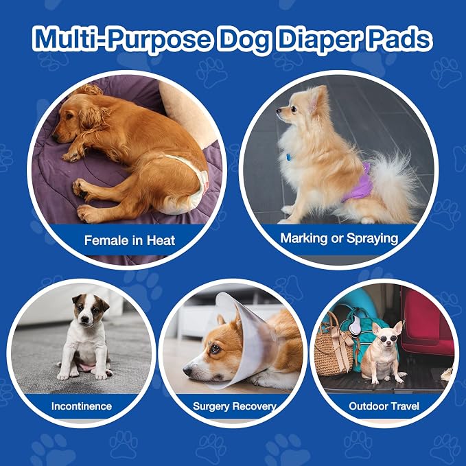 Disposable Dog Diaper Booster Pads L - 50 Count, Dog Diaper Liners for Male and Female Dogs, Inserts Fit Most Puppy Diapers - Pet Belly Bands and Male Dogs Wraps